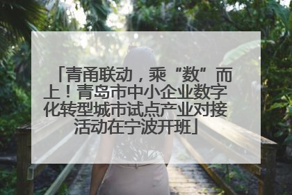 青甬联动，乘“数”而上！青岛市中小企业数字化转型城市试点产业对接活动在宁波开班