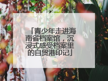 青少年走进海南省档案馆，沉浸式感受档案里的自贸港印记