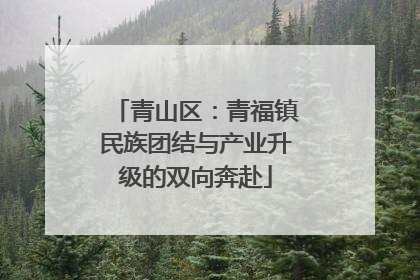 青山区：青福镇民族团结与产业升级的双向奔赴