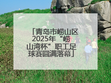 青岛市崂山区2025年“崂山湾杯”职工足球赛圆满落幕