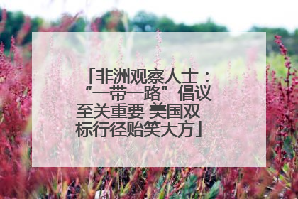 非洲观察人士：“一带一路”倡议至关重要 美国双标行径贻笑大方