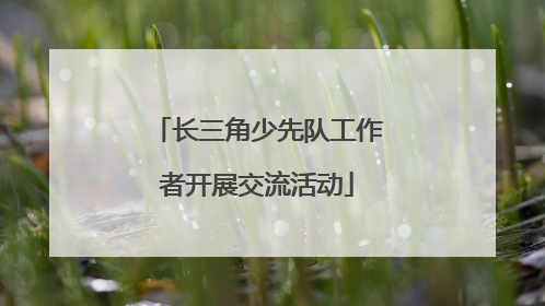 长三角少先队工作者开展交流活动