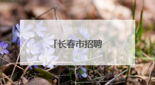 长春市招聘693人！