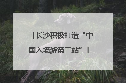 长沙积极打造“中国入境游第二站”