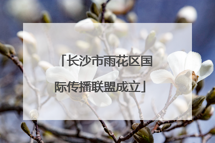 长沙市雨花区国际传播联盟成立