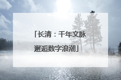长清：千年文脉邂逅数字浪潮