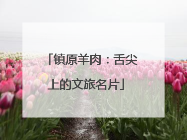 镇原羊肉：舌尖上的文旅名片