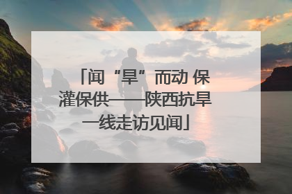 闻“旱”而动 保灌保供——陕西抗旱一线走访见闻