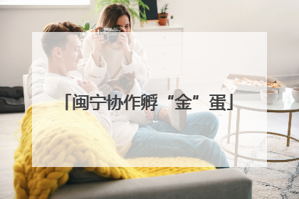 闽宁协作孵“金”蛋