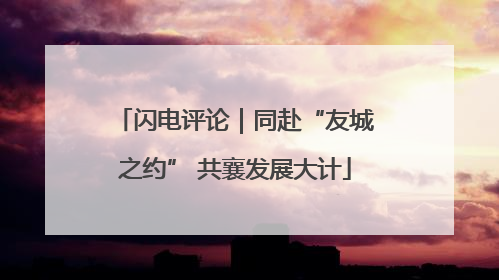 闪电评论｜同赴“友城之约” 共襄发展大计