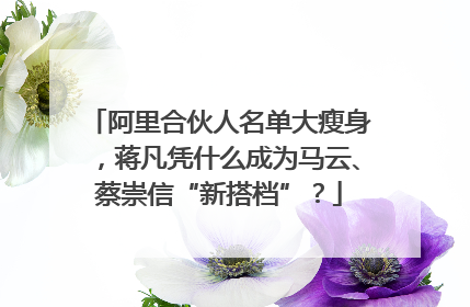 阿里合伙人名单大瘦身，蒋凡凭什么成为马云、蔡崇信“新搭档”？
