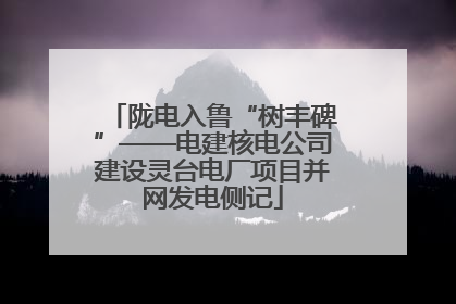 陇电入鲁“树丰碑”——电建核电公司建设灵台电厂项目并网发电侧记