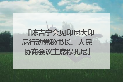 陈吉宁会见印尼大印尼行动党秘书长、人民协商会议主席穆扎尼