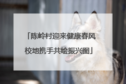陈岭村迎来健康春风 校地携手共绘振兴图