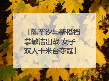 陈芋汐与新搭档掌敏洁出战 女子双人十米台夺冠