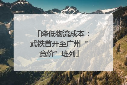 降低物流成本：武铁首开至广州“竞价”班列