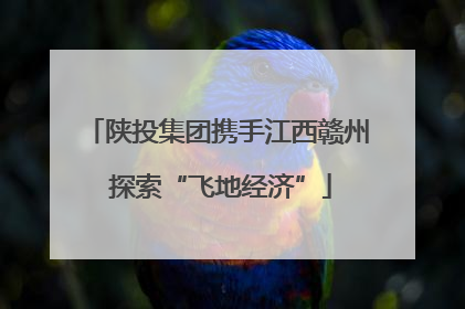 陕投集团携手江西赣州 探索“飞地经济”
