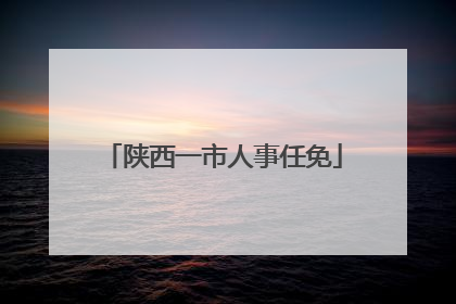 陕西一市人事任免