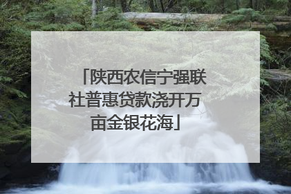 陕西农信宁强联社普惠贷款浇开万亩金银花海