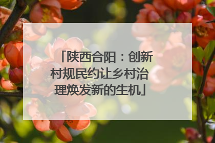 陕西合阳：创新村规民约让乡村治理焕发新的生机