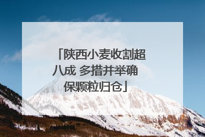 陕西小麦收割超八成 多措并举确保颗粒归仓