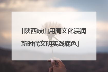 陕西岐山用周文化浸润新时代文明实践底色