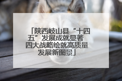 陕西岐山县“十四五”发展成就显著 四大战略绘就高质量发展新图景