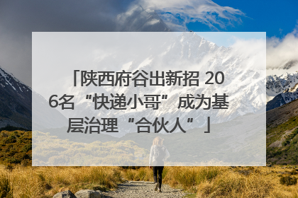 陕西府谷出新招 206名“快递小哥”成为基层治理“合伙人”