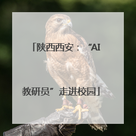 陕西西安：“AI教研员”走进校园