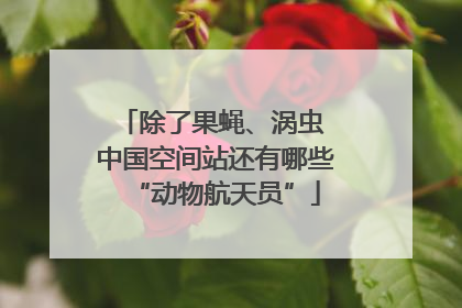 除了果蝇、涡虫 中国空间站还有哪些“动物航天员”