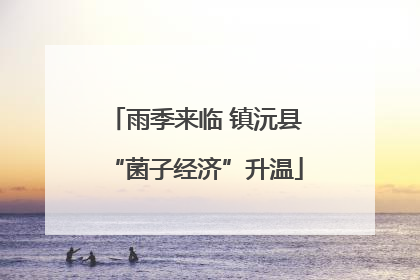 雨季来临 镇沅县“菌子经济”升温