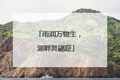 雨润万物生，湖畔舞翩跹