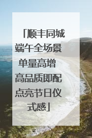 顺丰同城端午全场景单量高增 高品质即配点亮节日仪式感