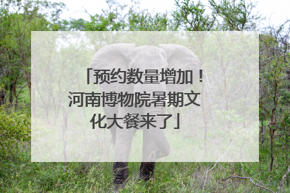 预约数量增加！河南博物院暑期文化大餐来了