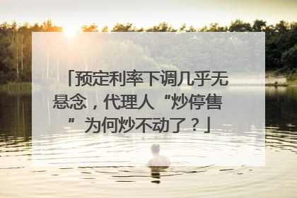 预定利率下调几乎无悬念，代理人“炒停售”为何炒不动了？