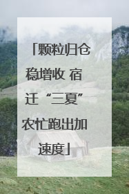 颗粒归仓稳增收 宿迁“三夏”农忙跑出加速度
