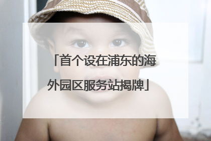 首个设在浦东的海外园区服务站揭牌