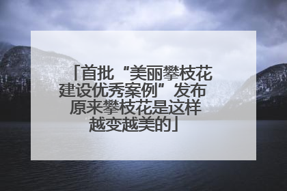 首批“美丽攀枝花建设优秀案例”发布 原来攀枝花是这样越变越美的