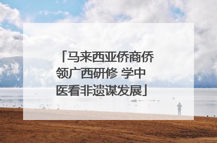 马来西亚侨商侨领广西研修 学中医看非遗谋发展