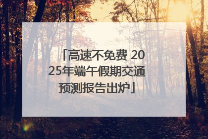 高速不免费 2025年端午假期交通预测报告出炉