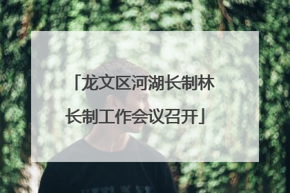 龙文区河湖长制林长制工作会议召开