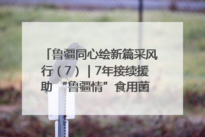 鲁疆同心绘新篇采风行（7）｜7年接续援助 “鲁疆情”食用菌从1.0走向4.0