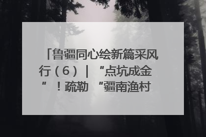鲁疆同心绘新篇采风行（6）｜“点坑成金”！疏勒 “疆南渔村” 从废弃坑塘变身全国垂钓胜地