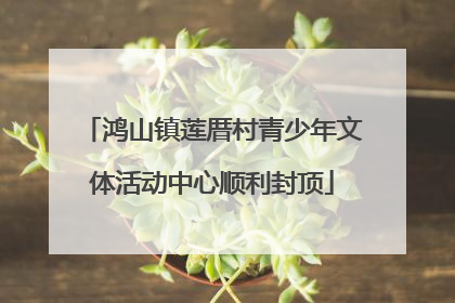 鸿山镇莲厝村青少年文体活动中心顺利封顶