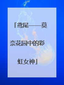 鸢尾——莫奈花园中的彩虹女神