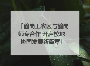 鹤岗工农区与鹤岗师专合作 开启校地协同发展新篇章