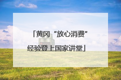黄冈“放心消费”经验登上国家讲堂