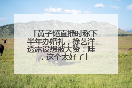 黄子韬直播时称下半年办婚礼，徐艺洋透露设想被大赞：哇，这个太好了