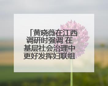 黄晓薇在江西调研时强调 在基层社会治理中更好发挥妇联组织作用