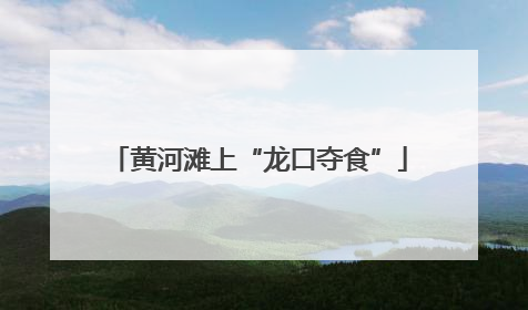 黄河滩上“龙口夺食”
